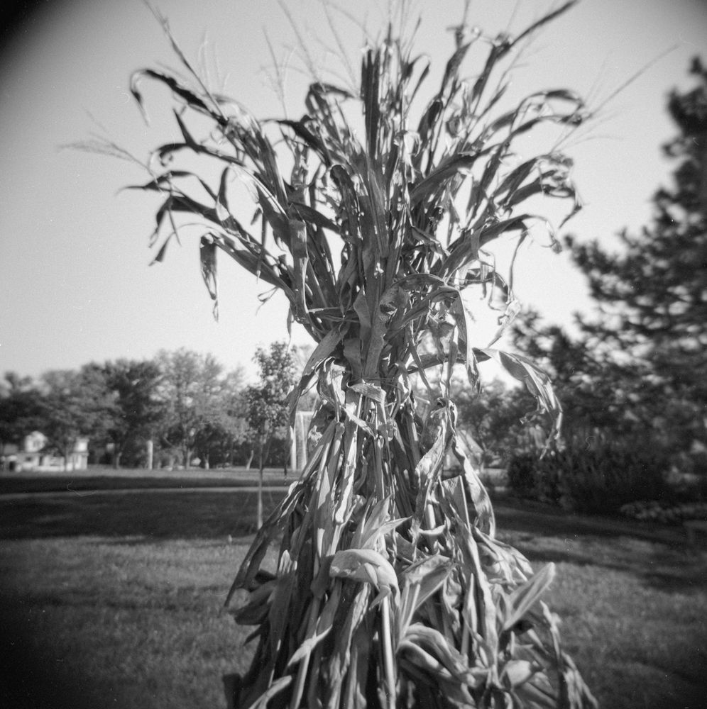 Black and white image of a teepee made of tied corn shucks.