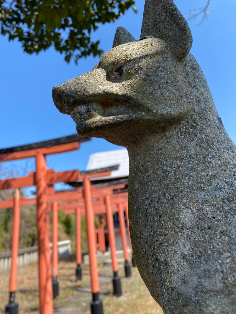 Kitsune statue from a shinto shrine in Yoshinogawa 
