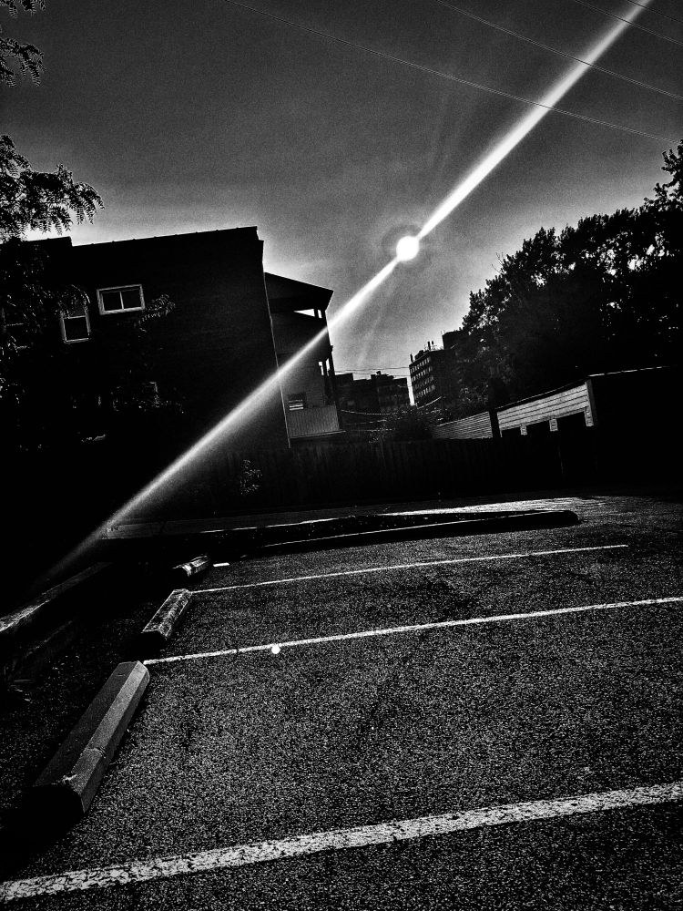 A black and white photograph of the early evening sun. 