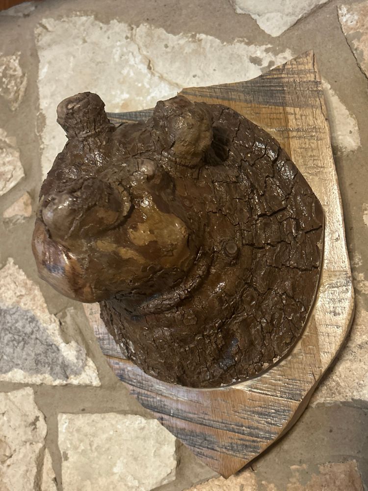 A section of a tree trunk that formed irregular blobs where old branch cuts sealed over. It resembles a bear head mounted to a wooden plaque reminiscent of a hunter’s taxidermy. 