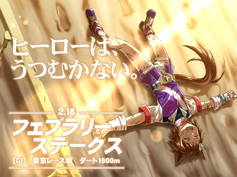 ウマ娘 ビコーペガサス フェブラリーステークス