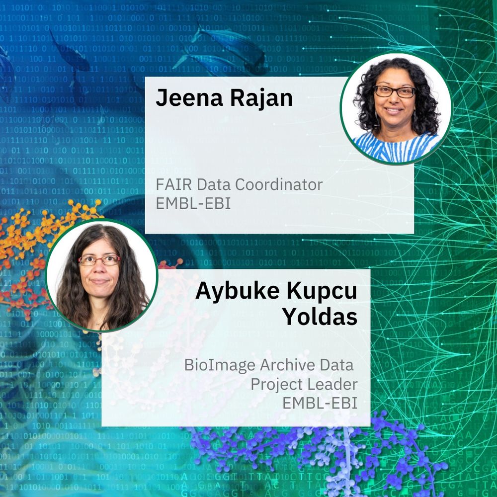 Graphics image showing webinar at EMBL-EBI about Open FAIR data: the role of public data archives. The webinar will run on 25 June 2025 at 14:30 BST. The speakers are Jeena Rajan and Aybuke Kupku Yoldas. Image credit: Karen Arnott and Rebecca Nicholl, EMBL-EBI
