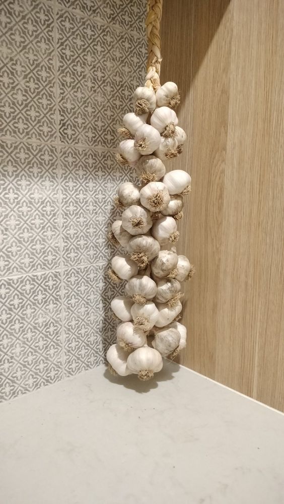 A braid of garlic around 40cm long, hanging in front of tiles 