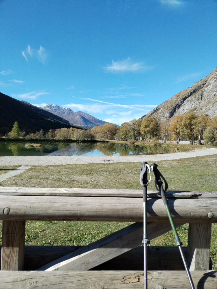 Paesaggio montano soleggiato con alberi timidamente ingialliti. In primo piano delle racchette da trekking. 