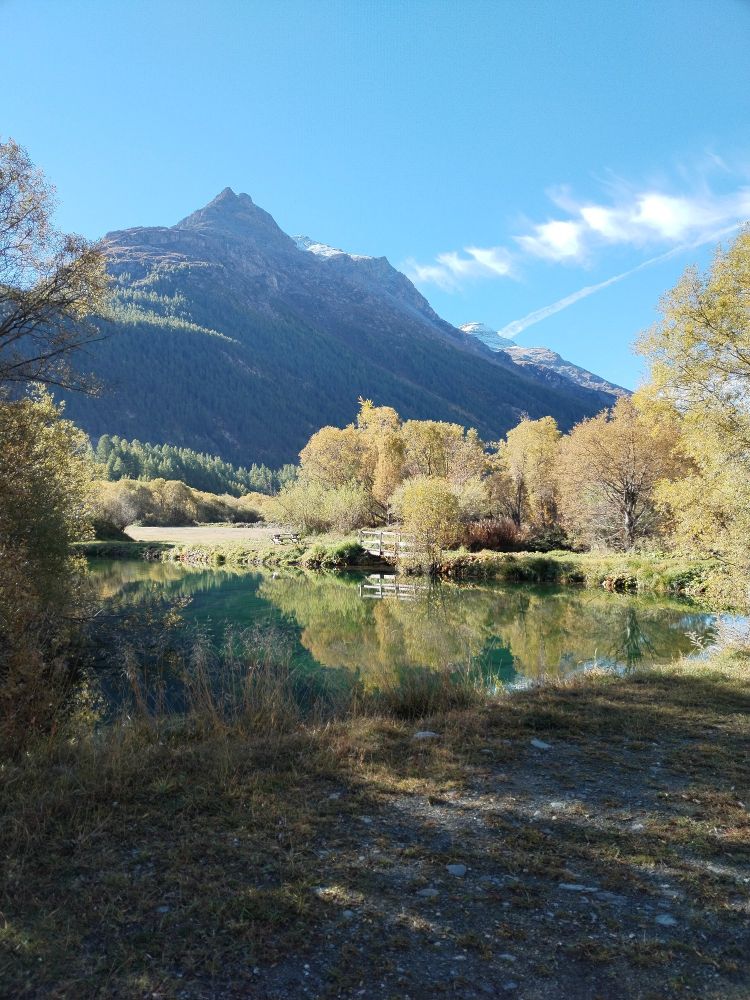 Paesaggio montano soleggiato. Le piante mostrano l'arrivo timido dell'autunno e si riflettono su un laghetto. 