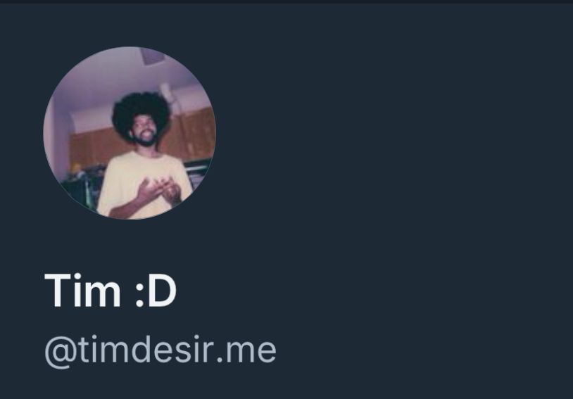 Screenshot of my profile picture with my custom handle “timdesir.me” 