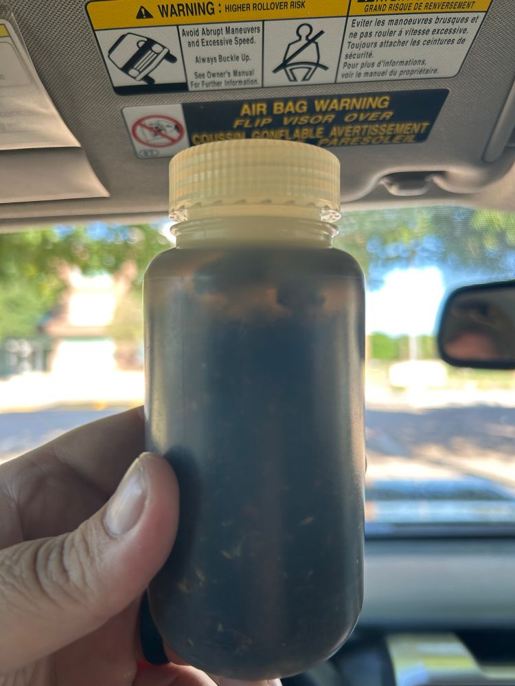 A jar full of the insect bounty from just under an hour of running the traps. 