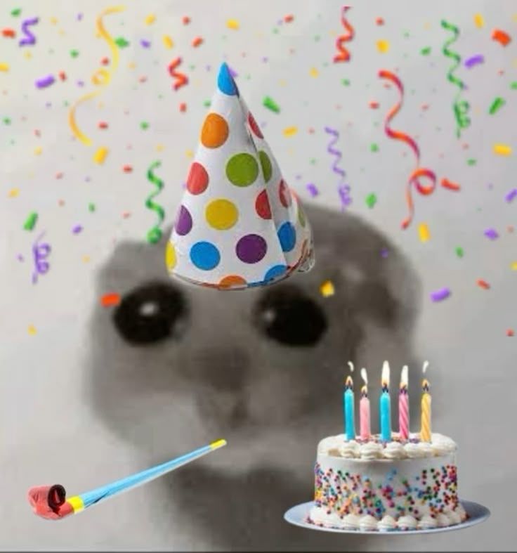 TODAY IS MY BIRTHDAY!!!!!! 