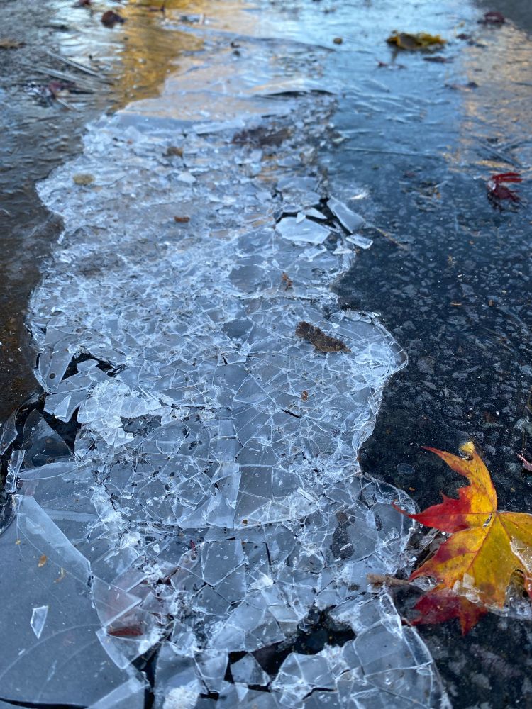 Frozen puddle 