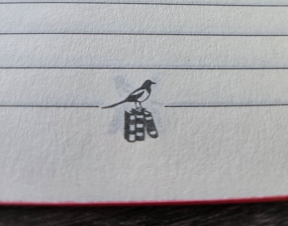 Illustration of a black and white bird, possibly a magpie, perched atop 3 books at the bottom of a blank notebook page.