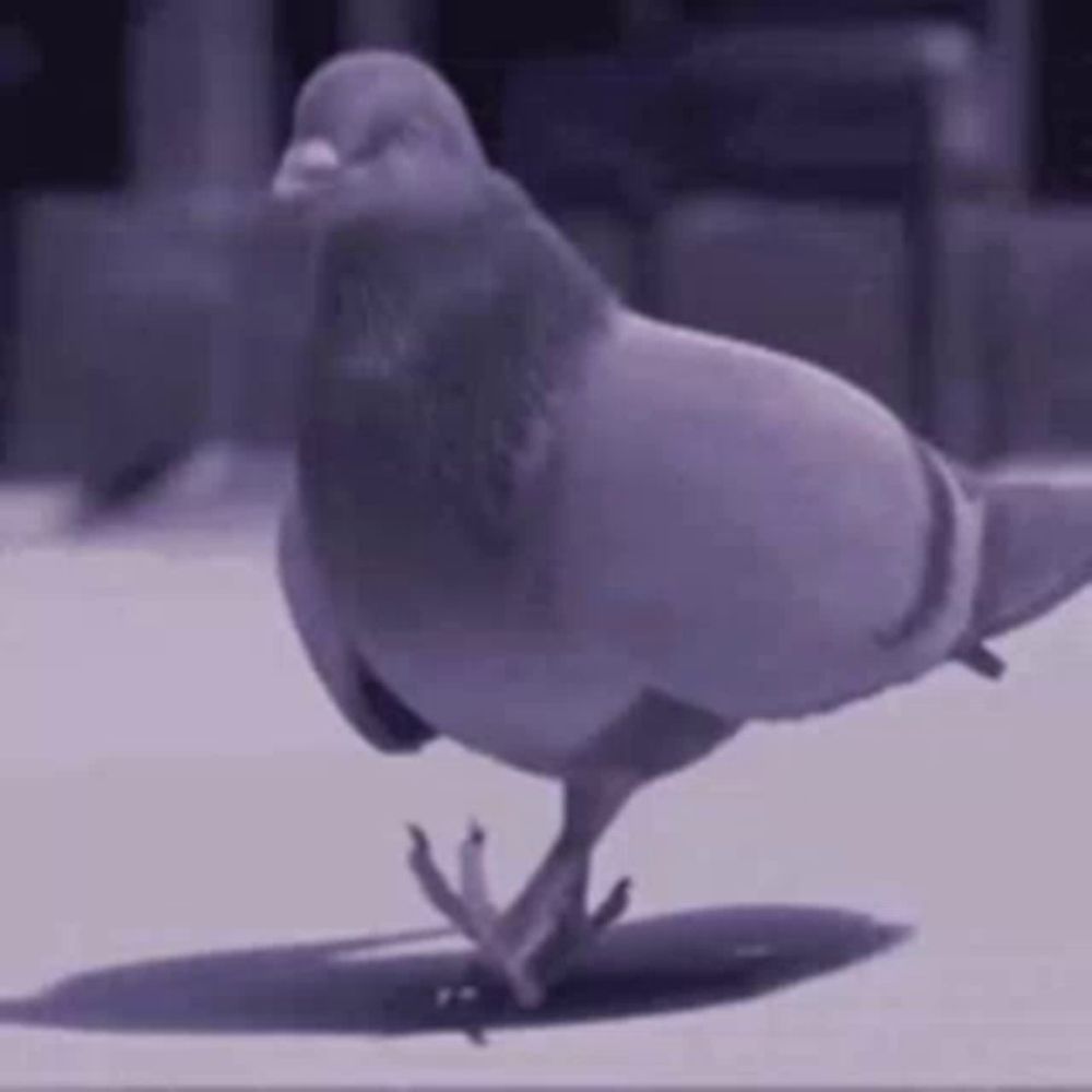 a pigeon is standing on its hind legs on a sidewalk .