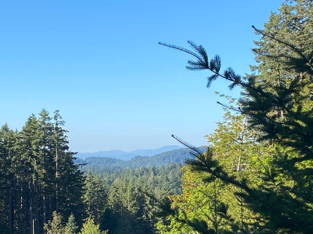 Montains and trees.  Blue sky