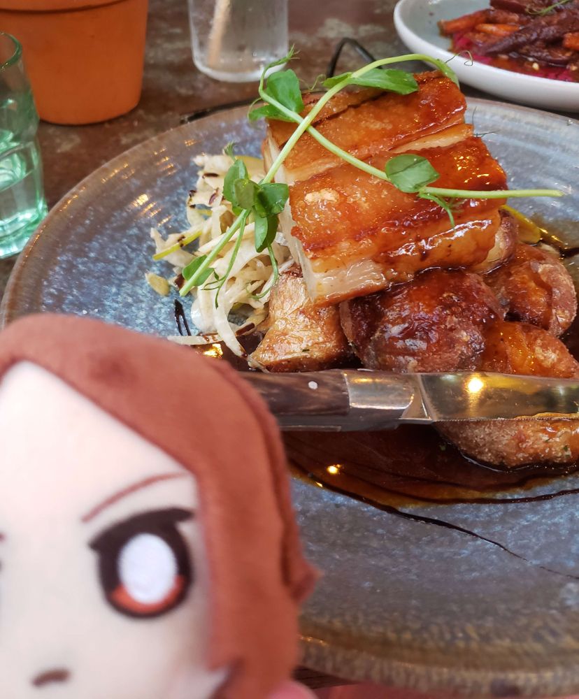 A picture of an out-of-focus Tatsuya Suou plush, next to a plate of pork belly (in focus) on roast potatoes and salad, with red wine jus. There's another plate in the background, with a roast carrot salad.