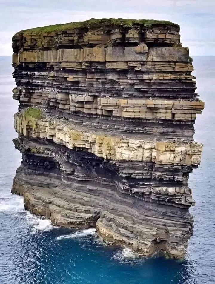 This is 350 million years in one picture.