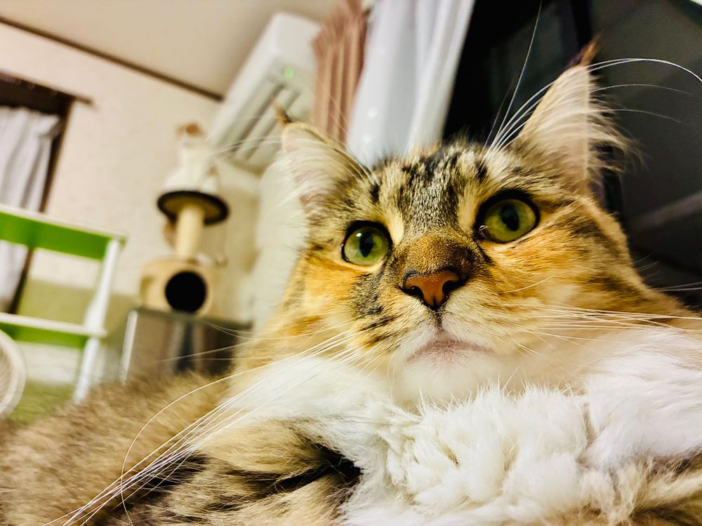後ろの方にエアコン吹き出し口を占領してるラムちゃんがボンヤリ写ってるwww