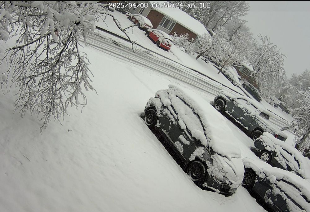 A view from near the nation's capital which shows fresh snowfall on the morning of April 8th. This photo contradicts the OP's description of the amount as not being enough for skiing.