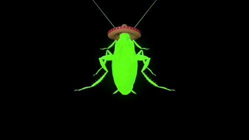 a green cockroach is wearing a sombrero on its head