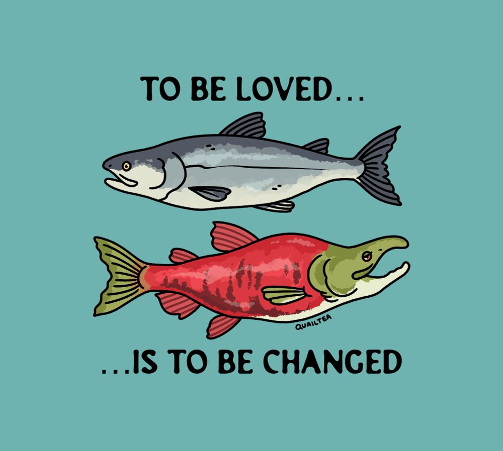 An image of two sockeye salmon, one in ocean colors and the other in their brighter spawning colors. The text says “to be loved…… is to be changed”