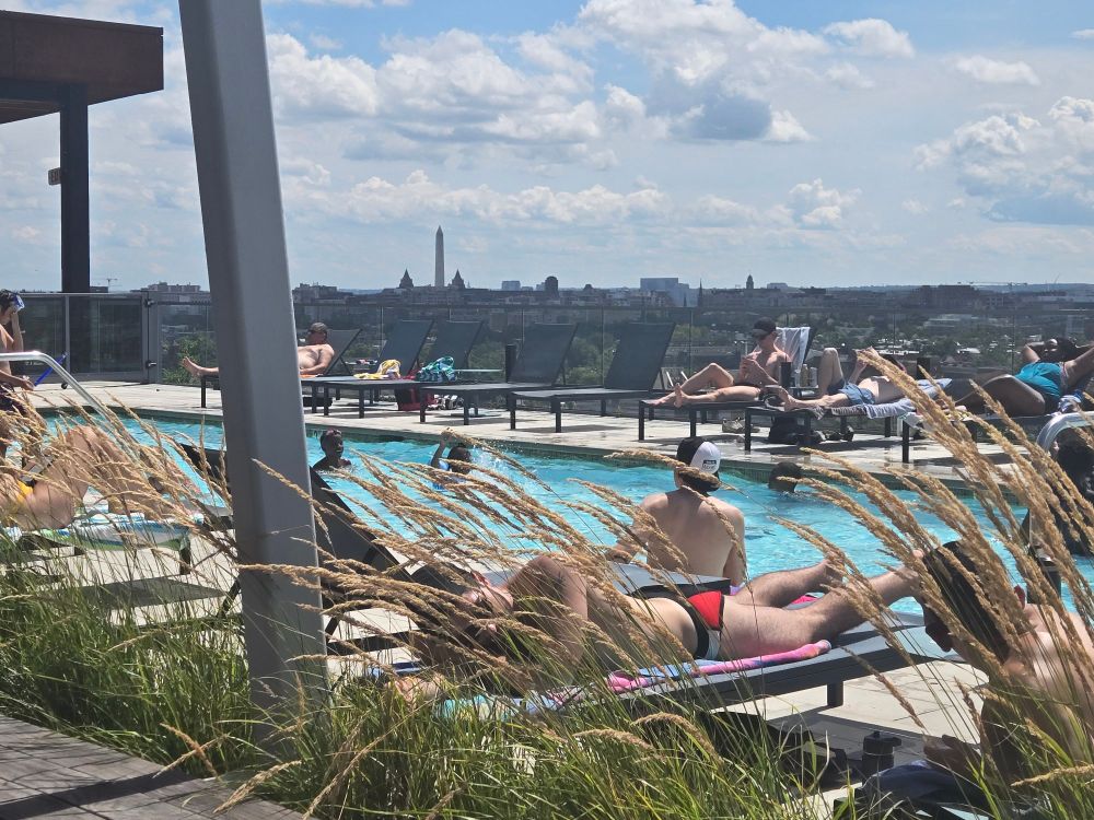 Rooftop pool with Washington monument in the background.