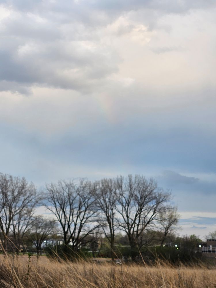 A cloudy sky with native golden grasses and some bare trees with a bit of rainbow piking through the gray sky.