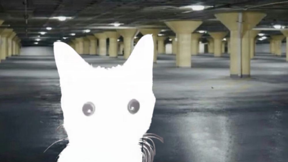 Picture of a parking garage, that was uploaded as a video thumbnail on twenty one pilots Youtube channel, but I edited a cut out of a cat's head on top with a lot of exposure (flashbang cat meme)
