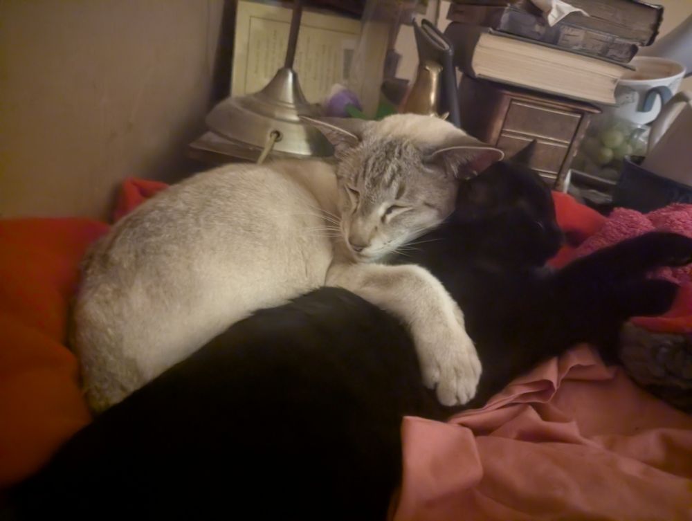 biggles full on hughing clawdia