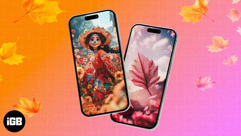 Best Fall wallpapers for iPhone in 2024 (Free 4k download) - iGeeksBlog