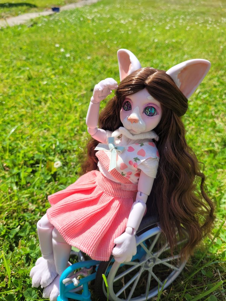 A photo of my ball jointed doll Cecilia. She is a small purple Corgi anthro with dark brown hair. She has a white muzzle and pink eyeshadow. She is wearing a white shirt under a pink strawberry patterned sweater vest and a pink pleated skirt. She is sat in a blue manual wheelchair in the grass. Her right arm is above her head, her paw shielding her eyes from the light. 
