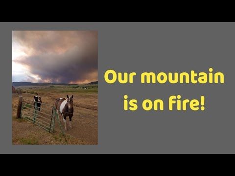 🔥The Fire Is Eleven Miles Away From Our House!🔥#fire #colorado #animals #pets #horses #dogs #ranch