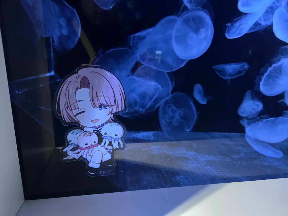 学園アイドルマスター　有村麻央