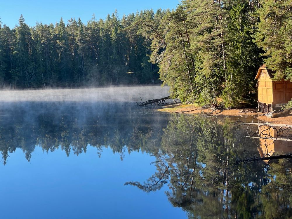 Zon en mist over het meer, Zweden