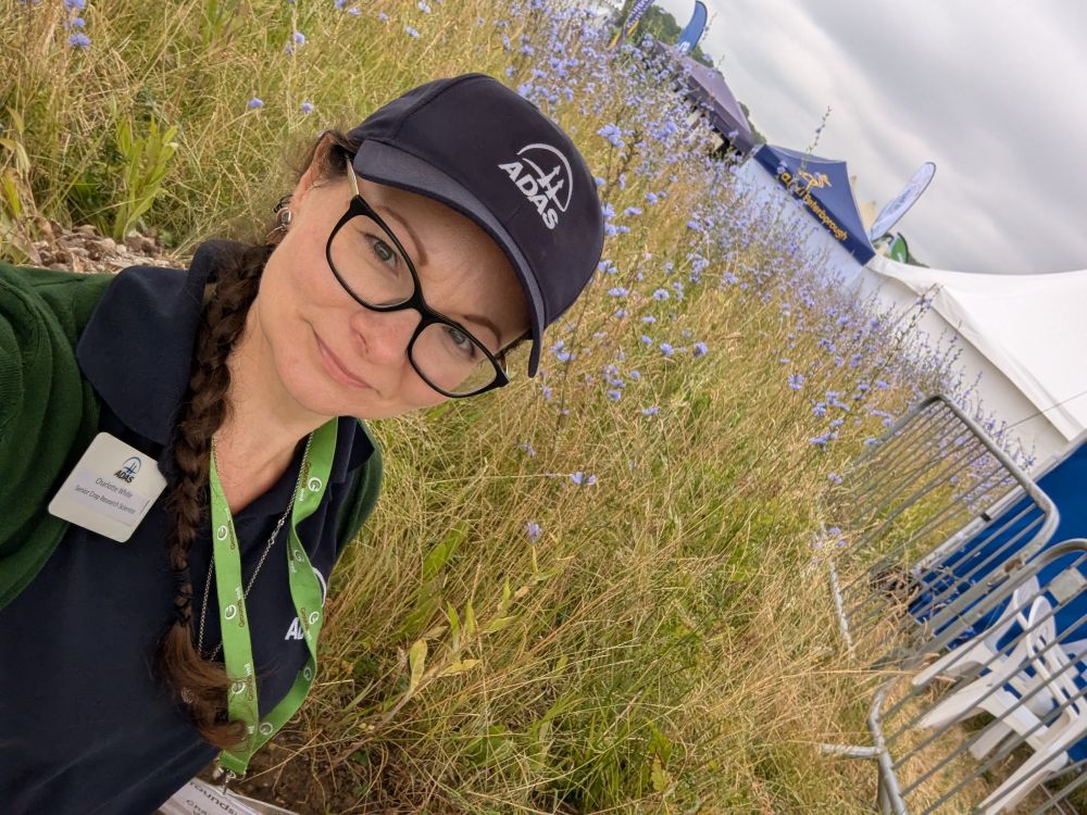 Selfie wearing branded baseball cap and chicory background 