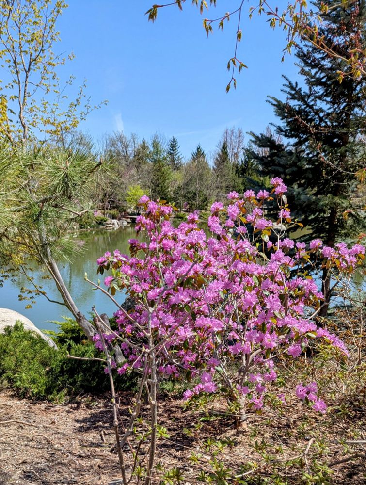 Spring has sprung! 🌷