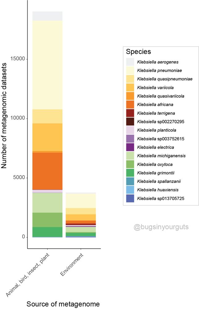 Summary of 17 different Klebsiella spp. found in different sample types - 'Animal, bird, insect, plant' or environment. Data were retrieved from the sandpiper database.