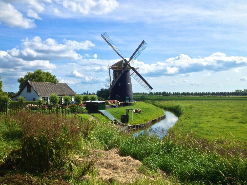 De Polderische Molen te Maasdam