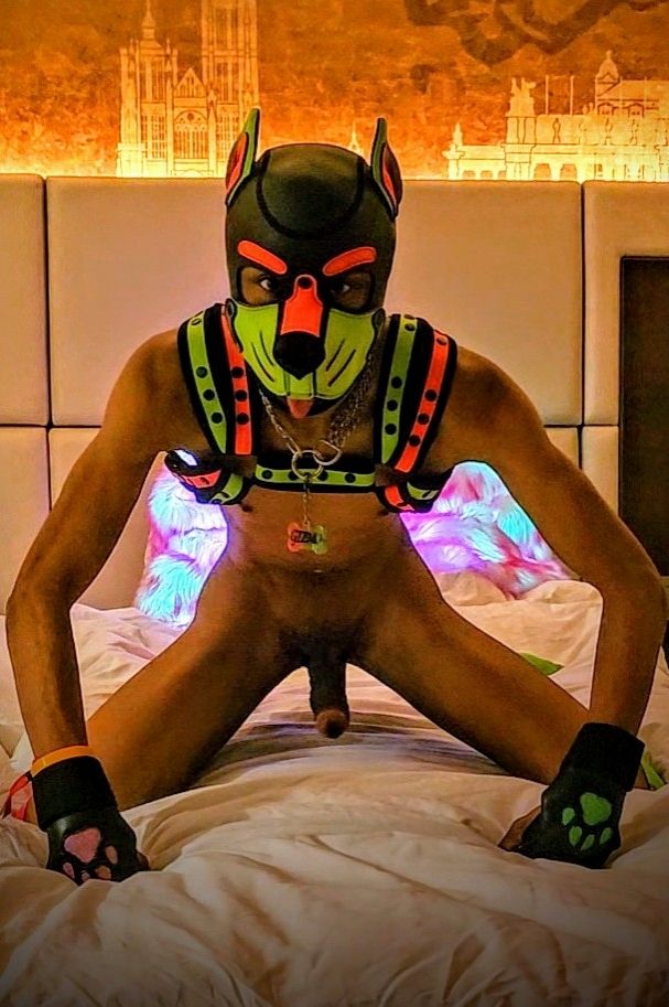 A Lime green and pink humanpup on a bed with an excited 'tail' ready to play for the evening