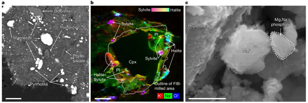 This figure shows 3 panels. On the left, a clast of the sample includes sodium sulfate grains. The middle panel shows an ion map with halite (NaCl) and sylvite (KCl) identified in a particle. On the right, sodium fluoride grains are identified with phyllosilicates.