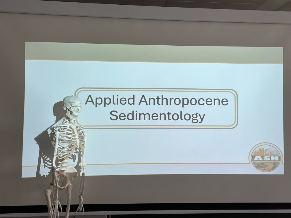 A projected screen with the words “applied anthropocene sedimentology” as a title slide.  The text is black on white in a green and gold box, there is a green banner along the top of the slide and the logo for the Anthropocene sediment network in the bottom right corner. There is a model skeleton standing to the left positioned as if presenting the lecture
