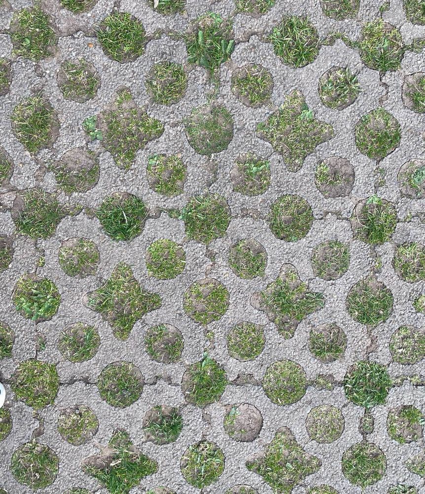 A grid of concrete grass pavers in a car park near a reservoir. The pavers form a regular pattern, with tufts of grass growing between the concrete cells. The surface appears both structured and semi-natural, showing signs of wear from foot or vehicle traffic.