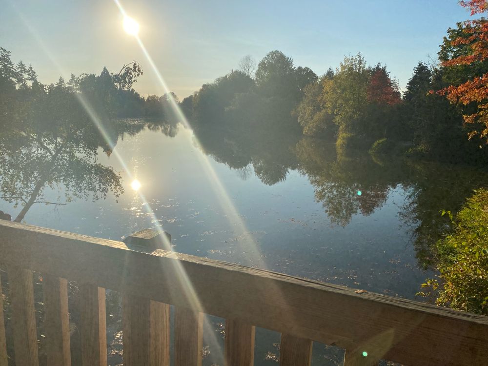 a pic of the afternoon sun reflecting on a lake, the shot taken in such a way that both the sun and its reflection give a similar flare in the camera. no I don’t know how I got a shot this good
