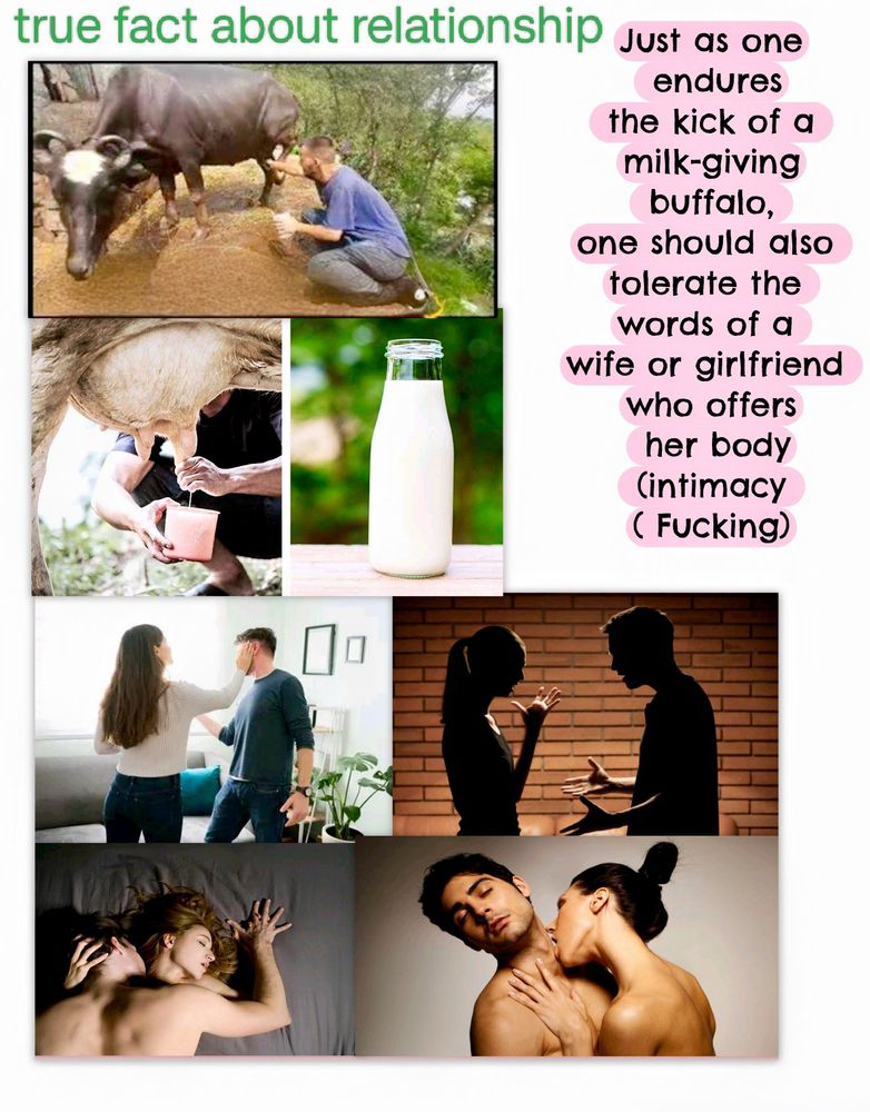 Just as one endures the kick of a milk-giving buffalo, one should also tolerate the words of a wife or girl friend who offers her body (intimacy)