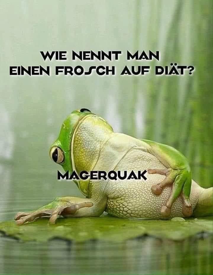 Das Bild zeigt einen Frosch der auf einem Seerosenblatt im Wasser auf dem Rücken liegt und den Spruch dazu: Wie nennt man einen Frosch auf Diät? Magerquark 