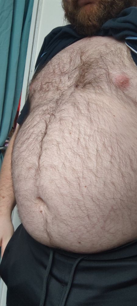 A fat hairy white man's big belly exposed from lifting up his shirt