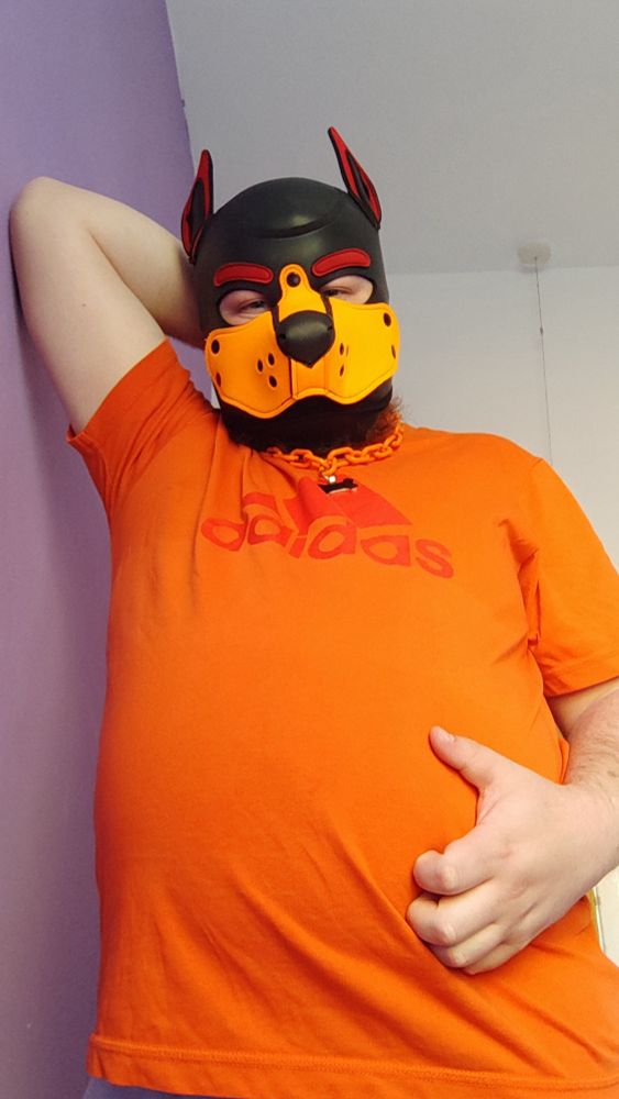 A fat white man wearing a black, red, and orange pup hood, an orange chain collar, and an orange shirt with a red Adidas logo, grabbing his belly with one arm and putting his other arm behind his head as he looks at the viewer