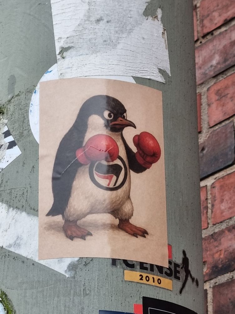 Ein Aufkleber. Darauf ist ein Pinguin zu sehen, der Boxhandschuhe an hat, kämpferisch steht und die Antifa Fahnen auf der Brust
