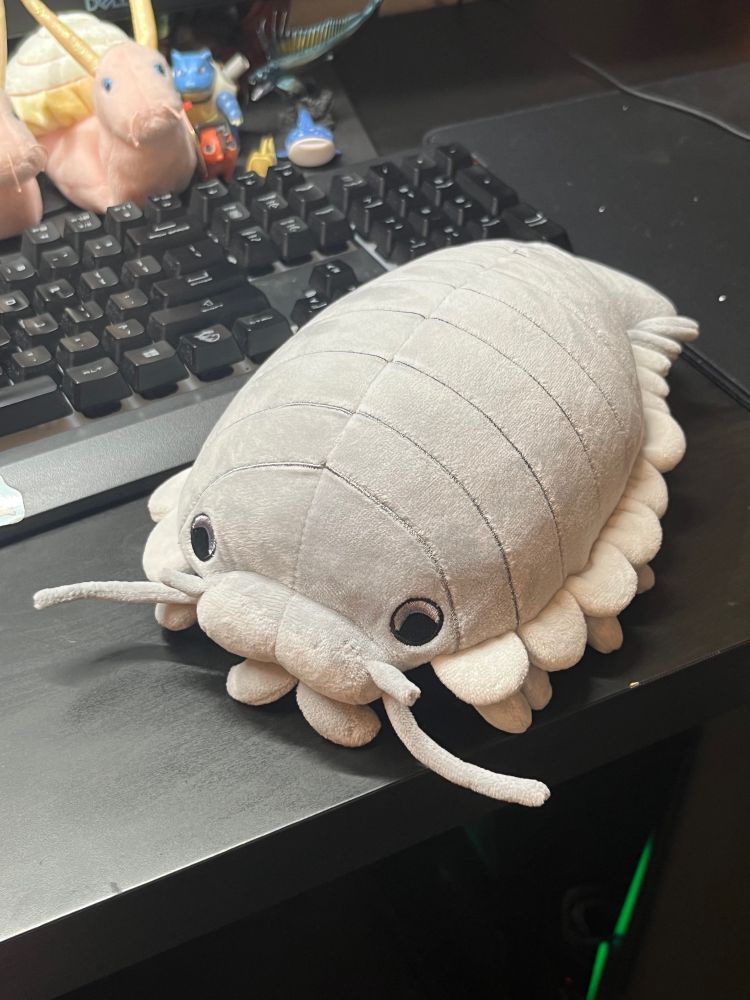 Giant isopod stuffed animal.
