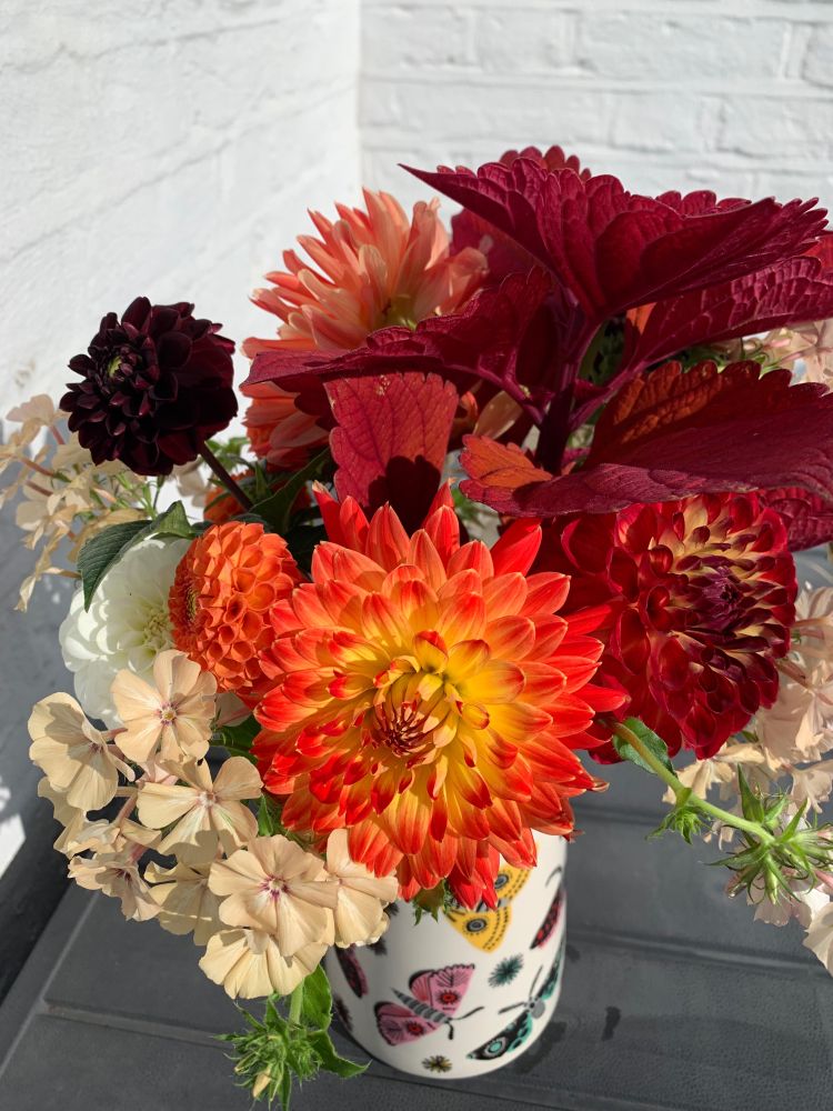 Photo of bouquet slightly from above. It consists of dark red coleus, dahlias in the colours white, dark red, and yellow orange, and beige phlox. The vase is white with brightly coloured moths.