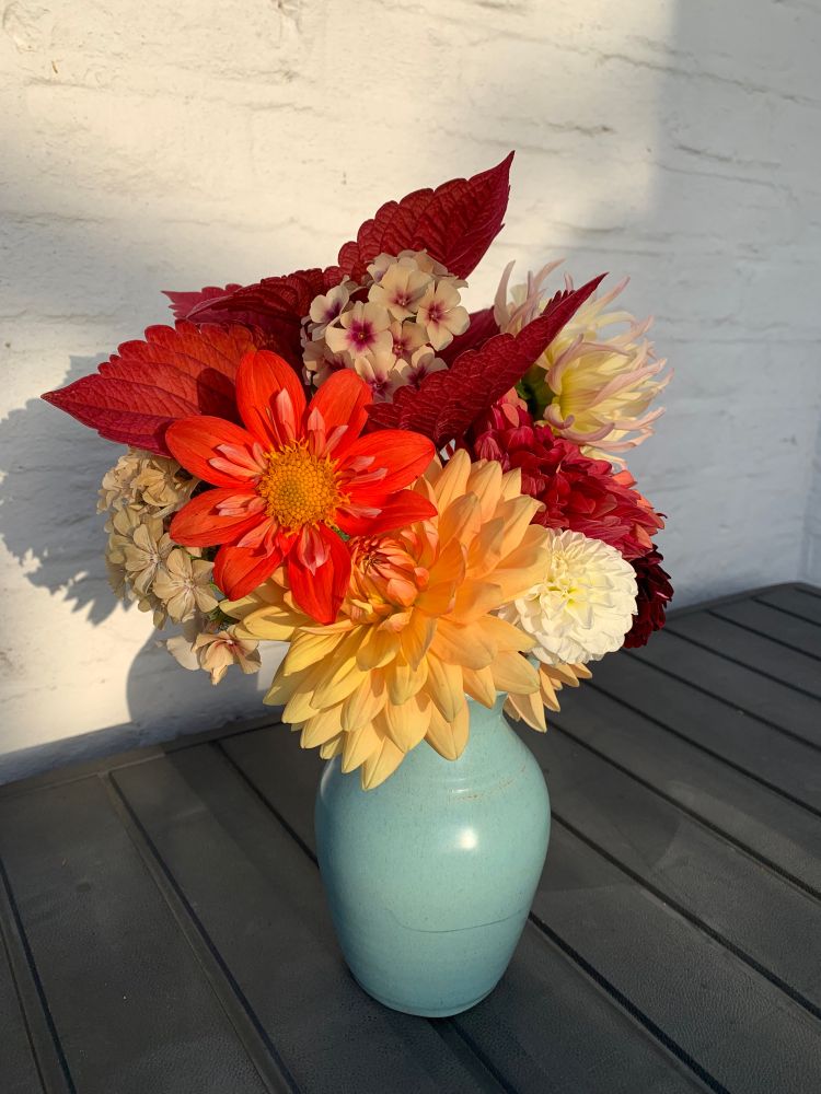 A bouquet of flowers in a turquoise vase. Flowers are, among others, an orange single dahlia, a lighter orange waterlily dahlia, dark red coleus, and beige phlox.