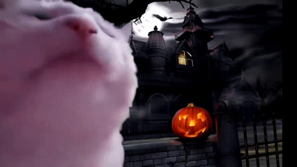 a halloween scene with a pumpkin and cotton candy in the foreground