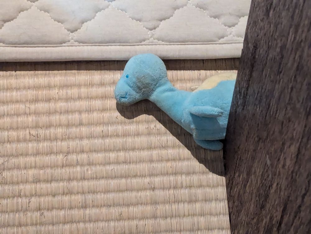 photo of a dinosaur plussie on the tatami mat